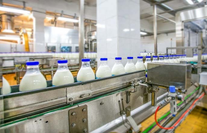 dairy